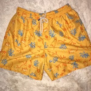 Southern Tide Swim Trunks